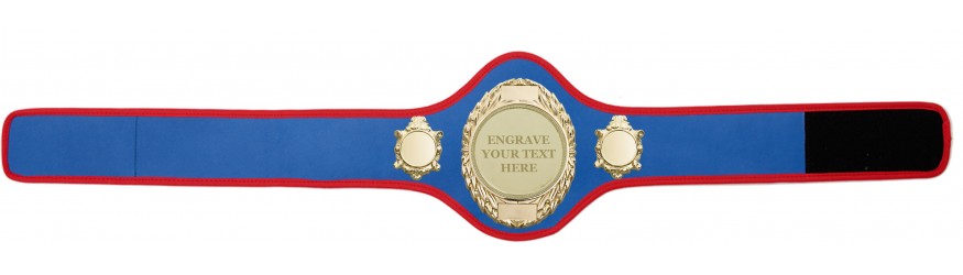 CHAMPIONSHIP BELT PRO286/G/ENGRAVE/G - AVAILABLE IN 10+ COLOURS